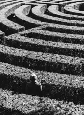 Woman in Maze